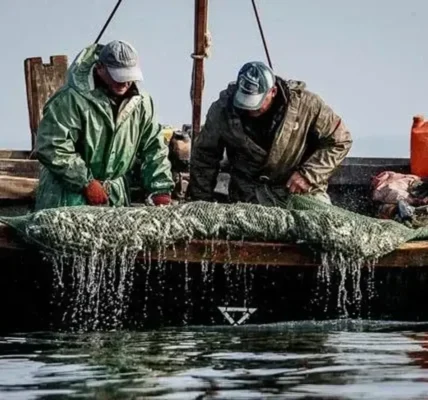 Вилов українських рибалок сягнув 21,5 тис. тонни: де і якої риби найбільше