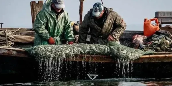Вилов українських рибалок сягнув 21,5 тис. тонни: де і якої риби найбільше