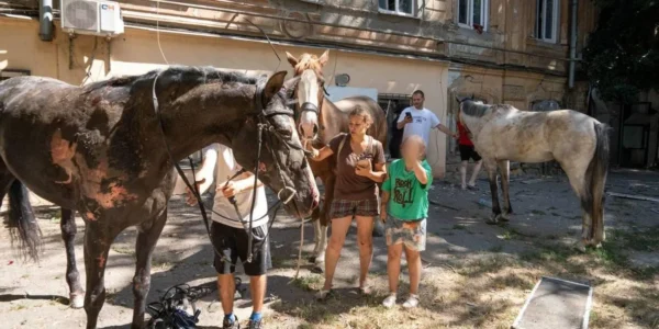 Удар рф по Одесі: кількість постраждалих зросла до 11, загинула тварина