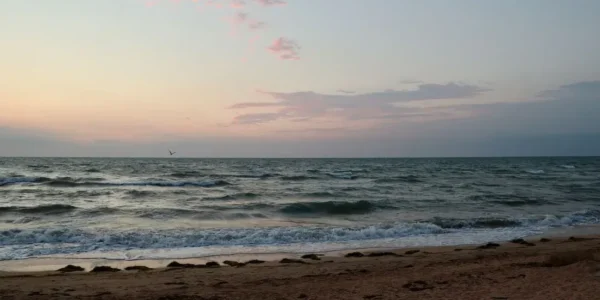 Постачання відновлено: Зеленський про відновлення військової допомоги Україні