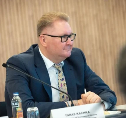 Качка: блокування вступу України до ЄС - не проблема, а частина системного процесу