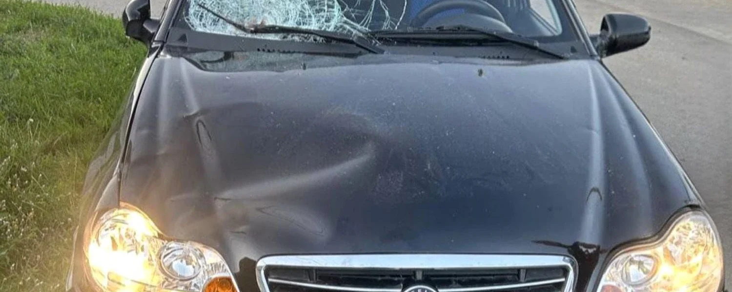 На Київщині нетверезий водій збив двох малолітніх дітей: 
поліція затримала зловмисника