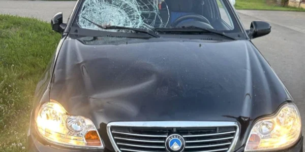 На Київщині нетверезий водій збив двох малолітніх дітей: 
поліція затримала зловмисника