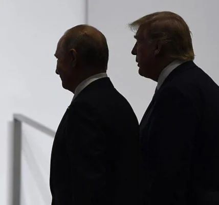 Зустріч Трампа та путіна попередньо запланована на наступний тиждень – чиновник Білого дому