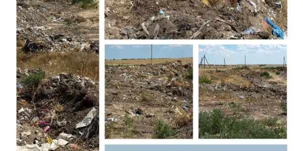 На Одещині влаштували незаконне сміттєзвалище на гектар землі: збитки понад 30 мільйонів