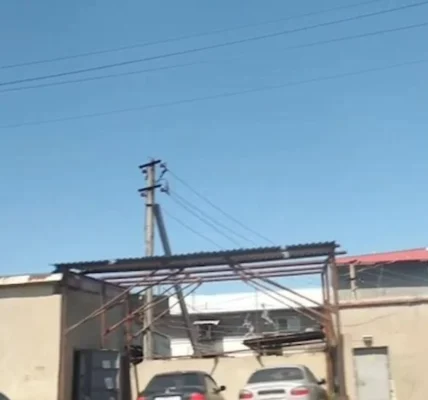 Агенти
