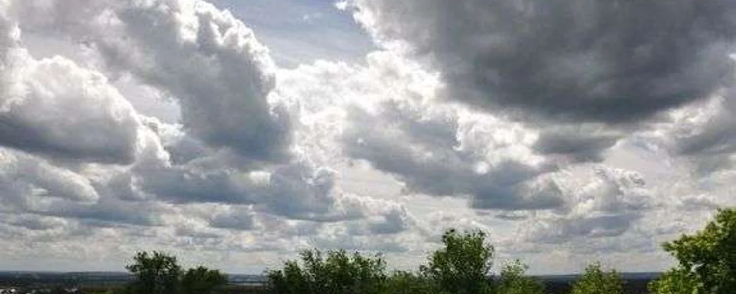 Українські Національні Новини (УНН)