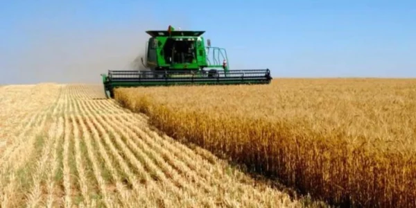 Українські Національні Новини (УНН)