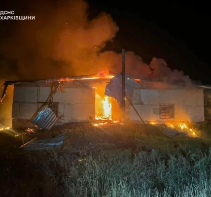 Російський дрон спричинив масштабну пожежу на агропідприємстві на Харківщині: показали наслідки