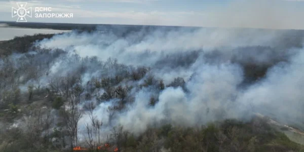 Масштабна пожежа спалахнула на Хортиці: горить лісова підстилка, суха трава та чагарники