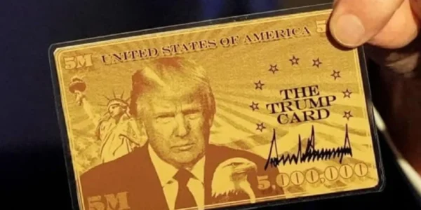 Українські Національні Новини (УНН)