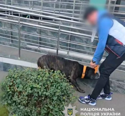 Чоловік бив собаку на вулиці в Києві: йому загрожує штраф та вилучення тварини