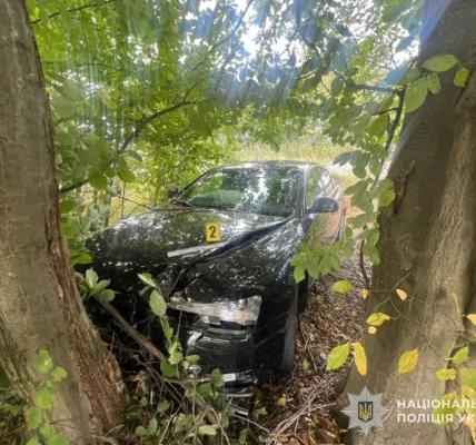 Водійка не впоралася з керуванням при обгоні вантажівки: у ДТП травмувалося 3 дітей, у тому числі немовля