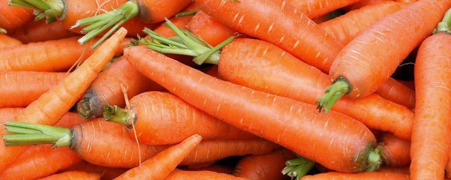 В Україні зростають ціни на моркву через сезонне скорочення пропозиції