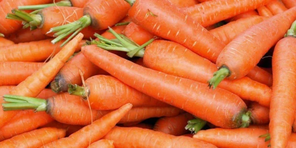 В Україні зростають ціни на моркву через сезонне скорочення пропозиції