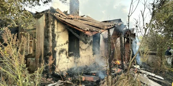 Українські Національні Новини (УНН)