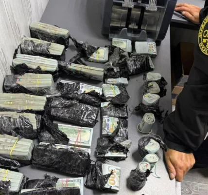 Жінка намагалась вивезти з України майже мільйон доларів готівки під капотом авто