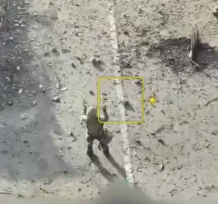 Українські Національні Новини (УНН)