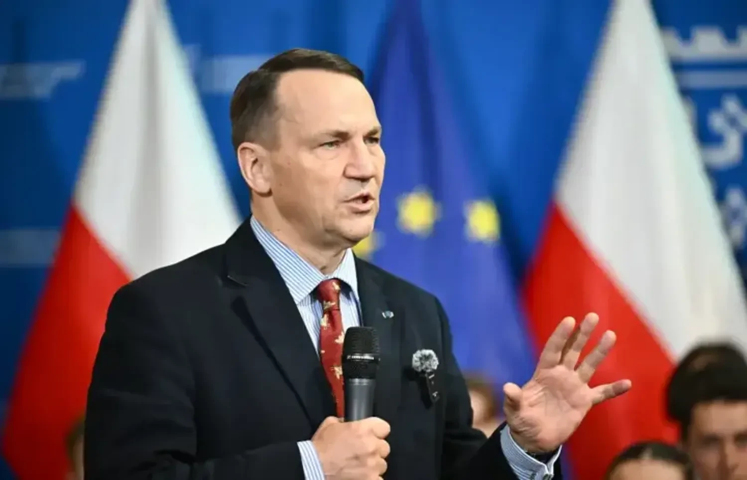 Україна може стати членом ЄС на початку 2030-х років - Сікорський