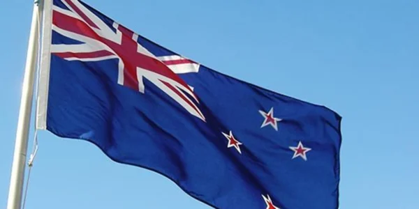 Українські Національні Новини (УНН)