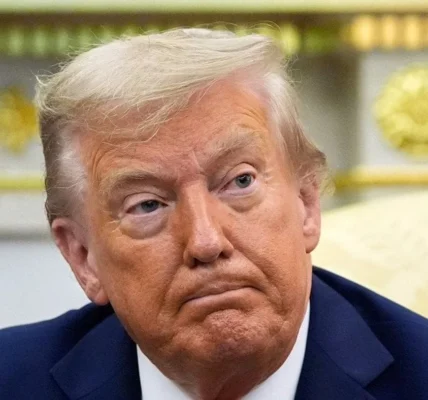 Українські Національні Новини (УНН)