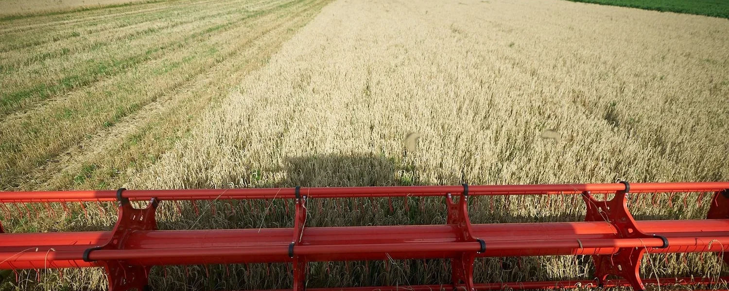 Українські Національні Новини (УНН)