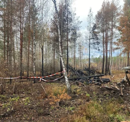 Українські Національні Новини (УНН)