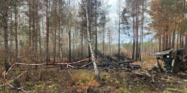 Українські Національні Новини (УНН)