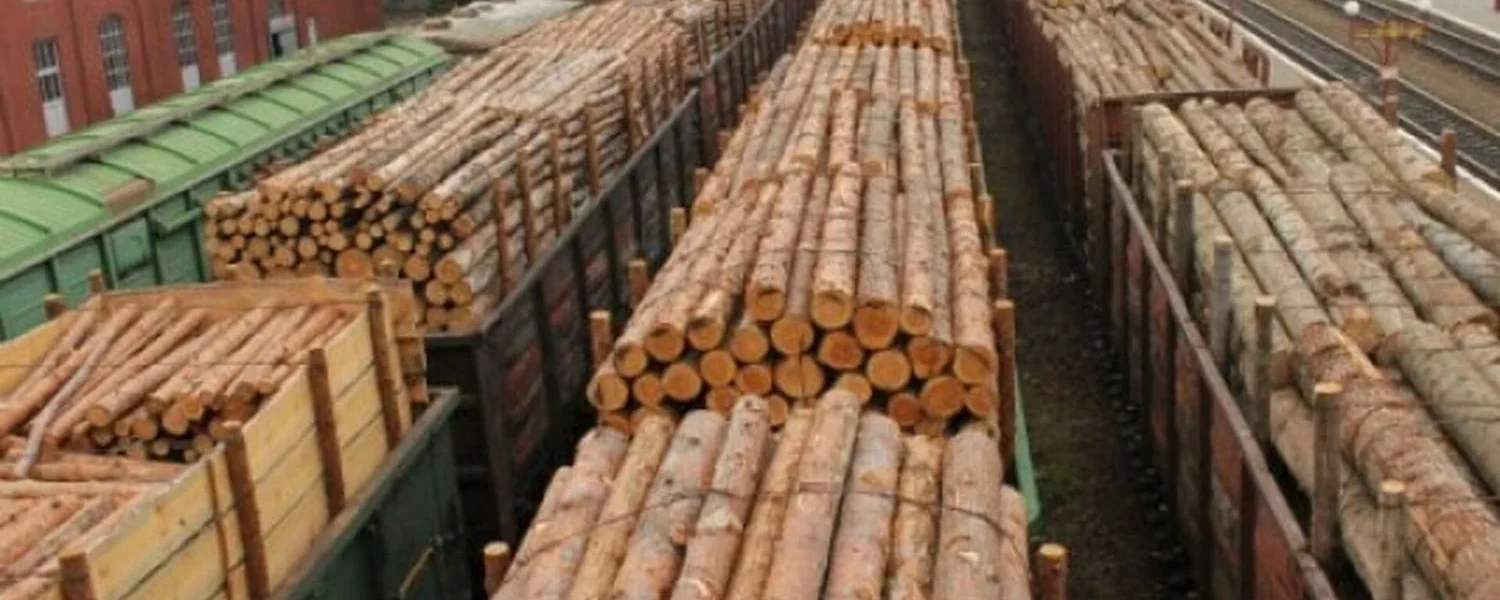 В Україні тимчасово заборонили експорт необробленої деревини