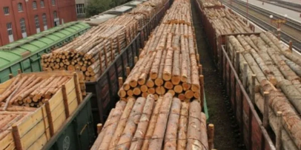 В Україні тимчасово заборонили експорт необробленої деревини