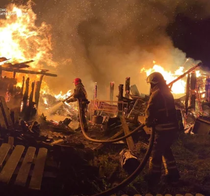 Двоє загиблих і ще двоє травмованих: на Житомирщині сталася пожежа в приватному будинку