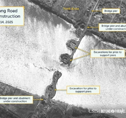 Українські Національні Новини (УНН)