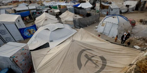 Українські Національні Новини (УНН)