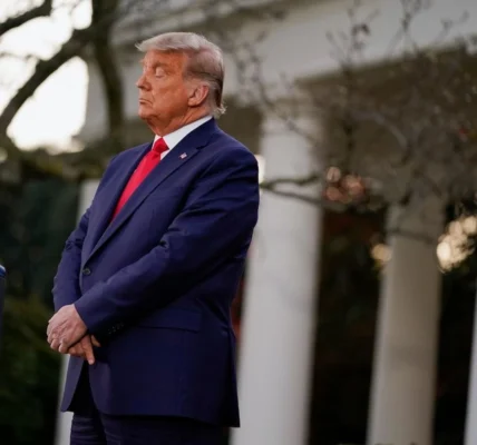 Українські Національні Новини (УНН)