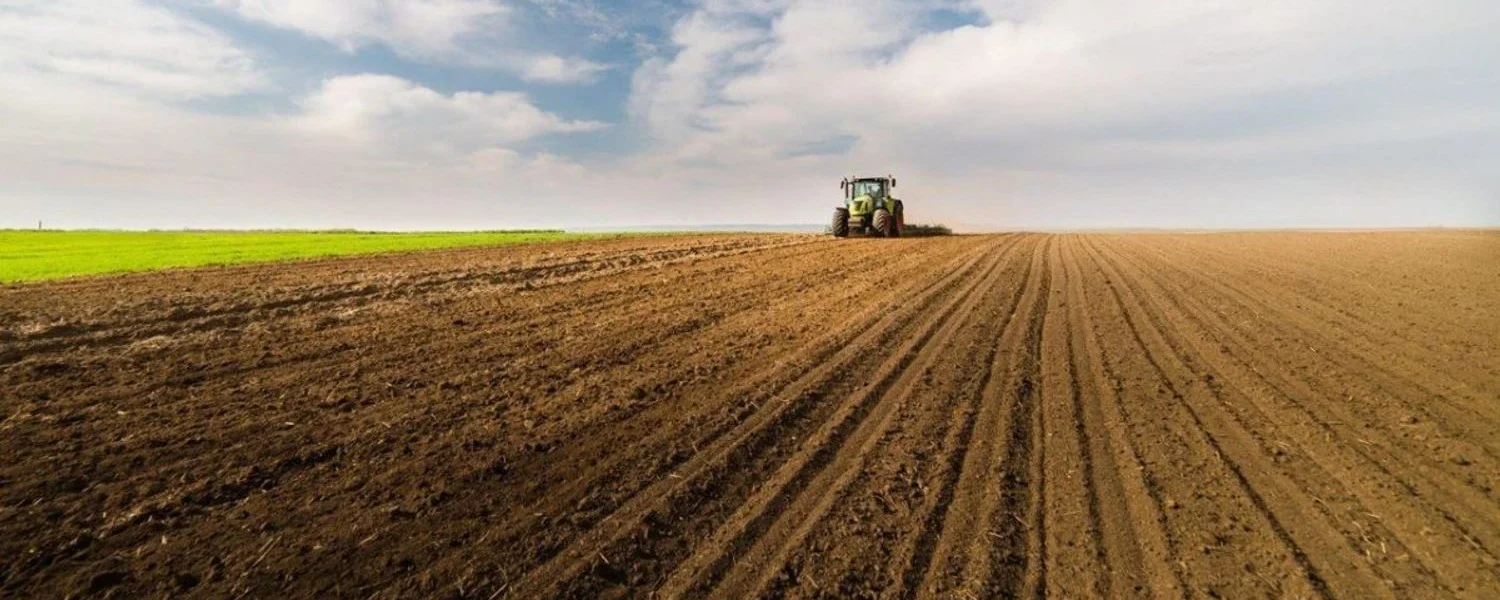 Українські Національні Новини (УНН)