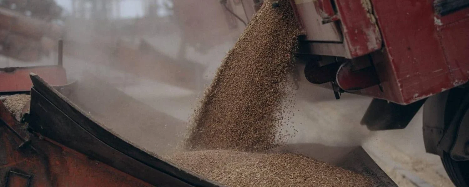 Експорт зерна у цьому сезоні на понад третину менший за торішній