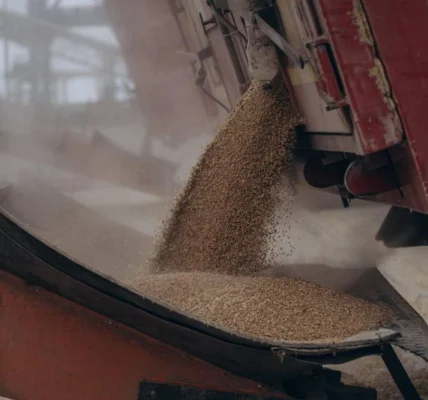 Експорт зерна у цьому сезоні на понад третину менший за торішній