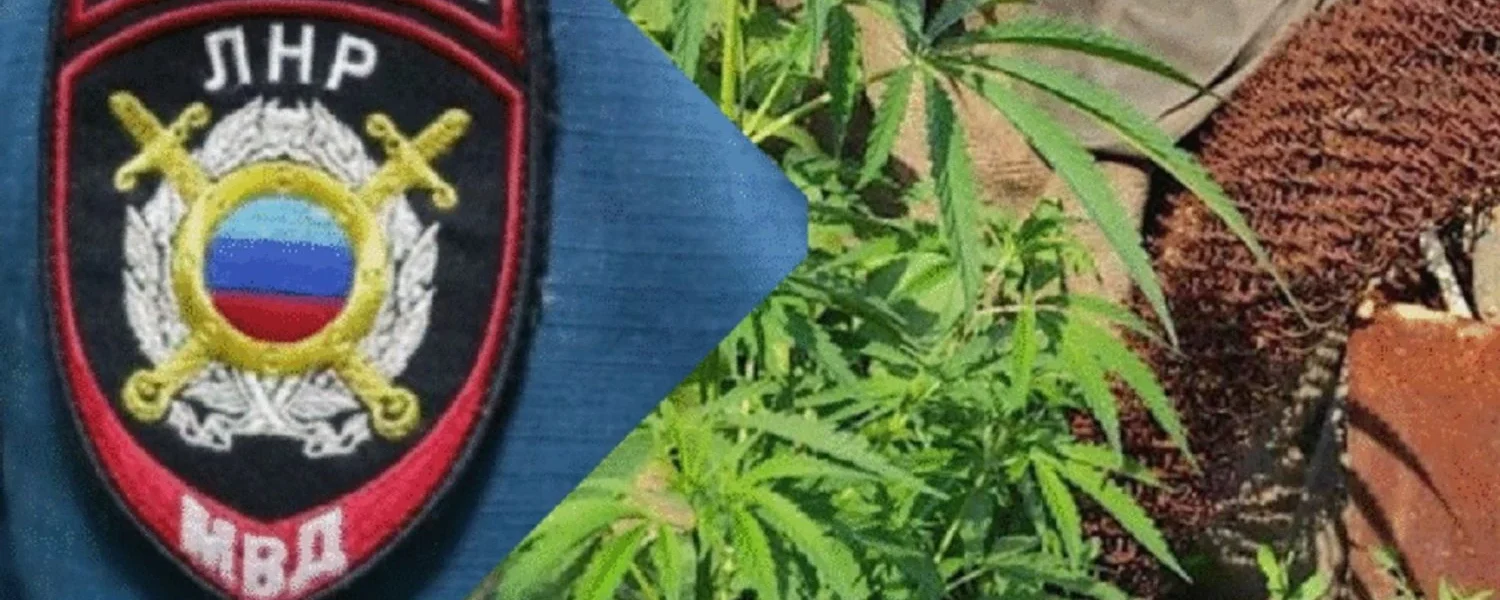 Наркозлочинність серед підлітків на Луганщині зросла вчетверо з початку 2025 року - ЦНС