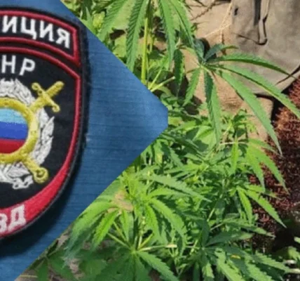 Наркозлочинність серед підлітків на Луганщині зросла вчетверо з початку 2025 року - ЦНС