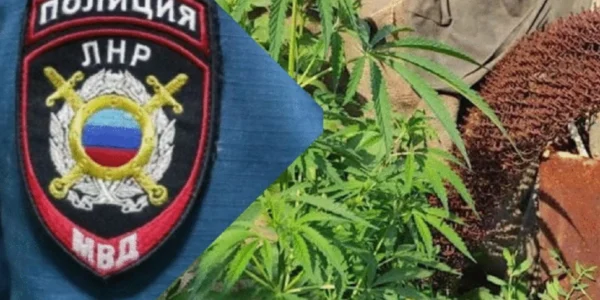 Наркозлочинність серед підлітків на Луганщині зросла вчетверо з початку 2025 року - ЦНС