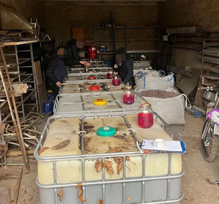 Українські Національні Новини (УНН)