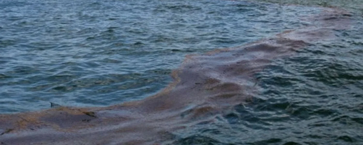 Може свідчити про початок масштабної екологічної катастрофи: понад 600 точок викиду метану зафіксовано біля узбережжя окупованого Криму