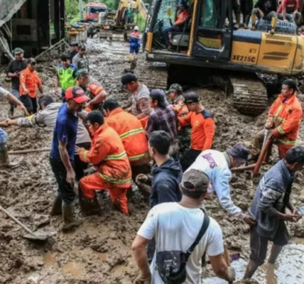 Українські Національні Новини (УНН)