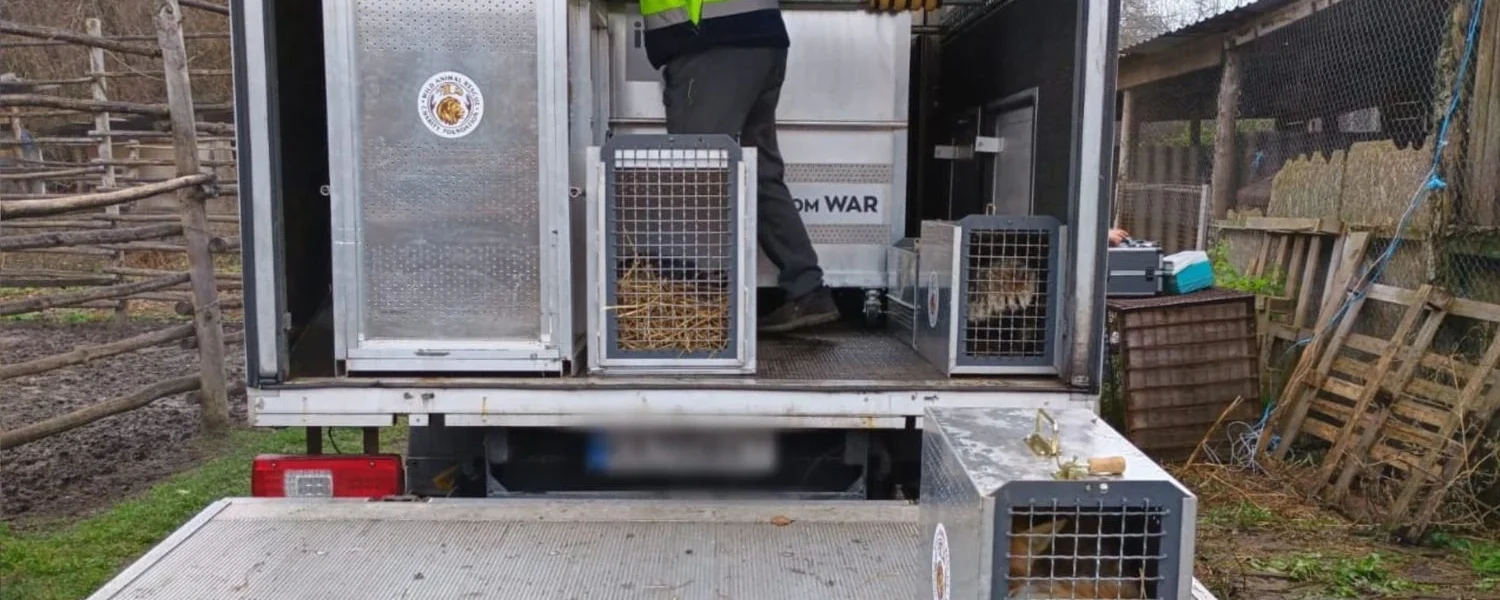 Не лише левиць: ще частину тварин вилучили із приватного зоокутка у Хмельницькому