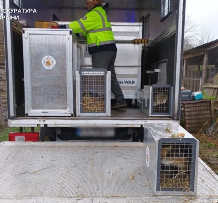 Не лише левиць: ще частину тварин вилучили із приватного зоокутка у Хмельницькому