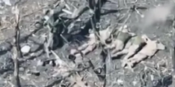 Окупанти розстріляли 5 полонених військовослужбовців ЗСУ, розпочато розслідування - Офіс Генпрокурора