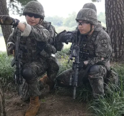 Інформація росіян про появу військових КНДР на Запорізькому напрямку не має підтвердження - ЦПД