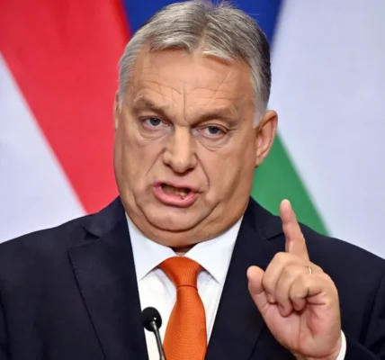 Українські Національні Новини (УНН)