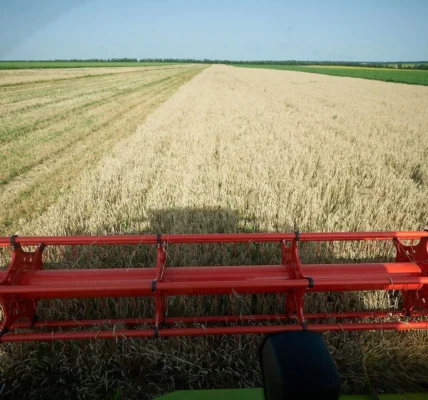 Українські Національні Новини (УНН)