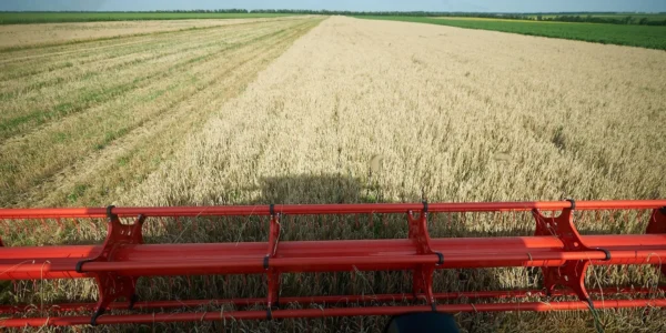 Українські Національні Новини (УНН)